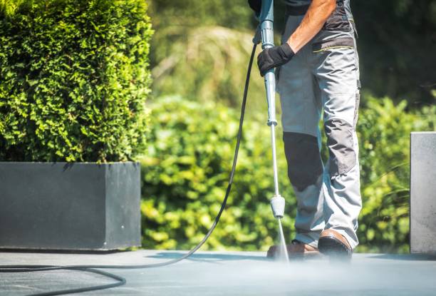 Best Driveway Pressure Washing  in Avenal, CA
